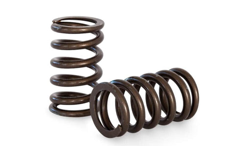 Nissan RB26DETT Performance Spring Set