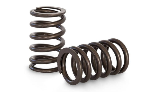 Toyota 1FZ | TB48 Racing Valve Spring Set