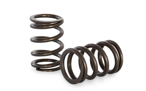 FORMULA FORD VALVE SPRING KIT