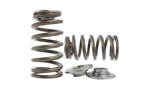 Toyota 3RZ-FE Beehive Spring | Titanium Retainers