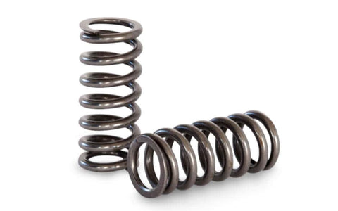 TOYOTA 4AGE 20V BLACK & SILVER TOP VALVE SPRINGS